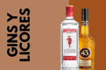 Gins y Licores